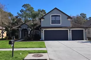 10740 Rain Lilly Pass, Land O Lakes, FL 34638 - Photo 1