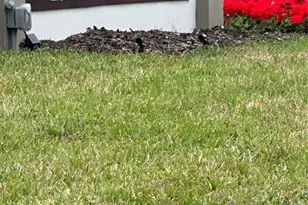 106 Mary Dr, Oldsmar, FL 34677 - Photo 1