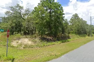 00 Old Squaw Ave, Weeki Wachee, FL 34614 - Photo 1