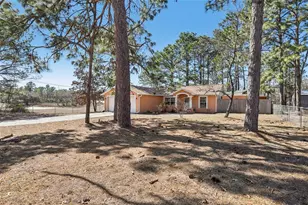 15327 Green Jay Rd, Weeki Wachee, FL 34614 - Photo 1