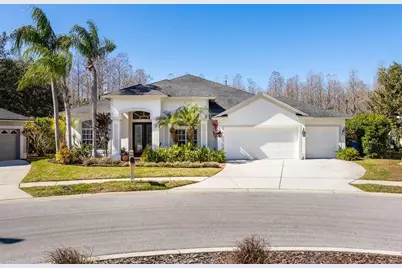 19817 Glazing Globe Lane, Lutz, FL 33558 - Photo 1