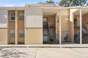 3814 N Oak Dr, Tampa, FL 33611 - Photo 1