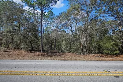 3292 N Annapolis Avenue, Hernando, FL 34442 - Photo 1