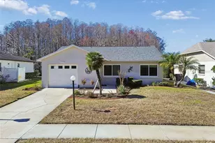 11719 Alderwood Dr, New Port Richey, FL 34654 - Photo 1