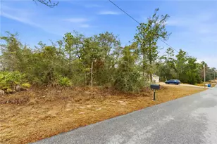 11063 Liberto Rd, Weeki Wachee, FL 34614 - Photo 1