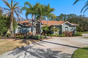 103 Silver Moss Ln, Tarpon Springs, FL 34688 - Photo 1