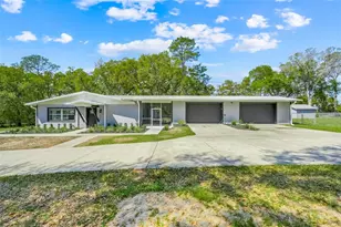 311 Griffin View Dr, Lady Lake, FL 32159 - Photo 1