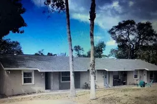 607 Omaha St, Palm Harbor, FL 34683 - Photo 1