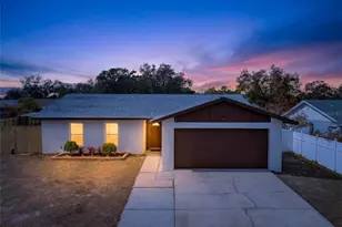 662 Bryan Terrace Dr, Brandon, FL 33511 - Photo 1