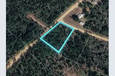 Deshutes Drive, Alford, FL 32420 - Photo 1