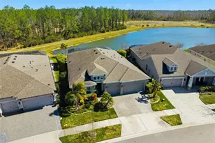 4626 Tour Trce, Land O Lakes, FL 34638 - Photo 1
