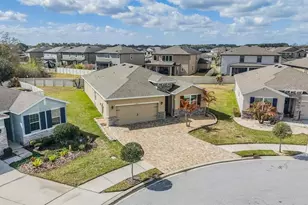 31364 Tansy Bnd, Wesley Chapel, FL 33545 - Photo 1