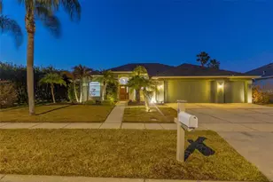 28703 Crooked Stick Ct, Wesley Chapel, FL 33543 - Photo 1
