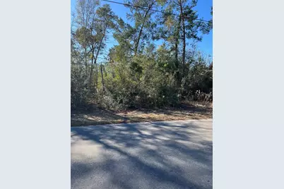 0 Pitcairn Street, Brooksville, FL 34613 - Photo 1