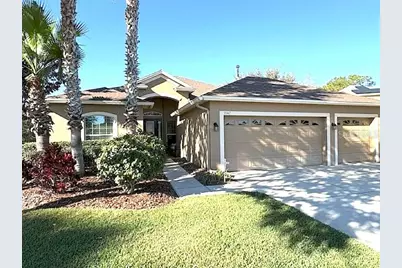 3347 Diamond Falls Circle, Land O Lakes, FL 34638 - Photo 1