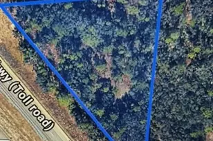 4448 W Grover Cleveland Blvd, Homosassa, FL 34446 - Photo 1
