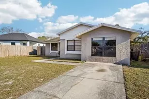 6807 White Cliffs Way, Tampa, FL 33625 - Photo 1