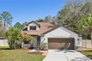 5620 Essex Ct, Palm Harbor, FL 34685 - Photo 1