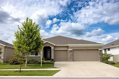 32289 Conchshell Sail Street, Wesley Chapel, FL 33545 - Photo 1