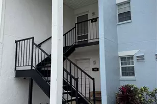 3819 N Oak Dr, Tampa, FL 33611 - Photo 1