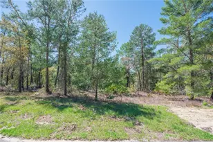 6 Heuchera Ct E, Homosassa, FL 34446 - Photo 1