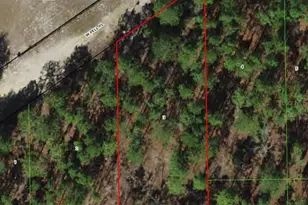 6046 W Pell Pl, Dunnellon, FL 34433 - Photo 1