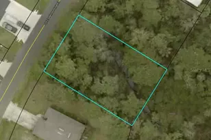 7 Sleepy Hollow Trail, Palm Coast, FL 32164 - Photo 1