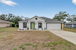 307 Plumtree Ave, Spring Hill, FL 34606 - Photo 1