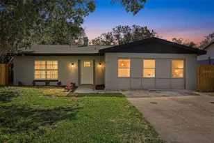 10217 N Pawnee Ave, Tampa, FL 33617 - Photo 1
