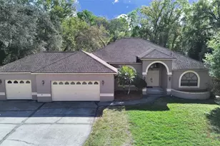 10330 Armadillo Ct, New Port Richey, FL 34654 - Photo 1