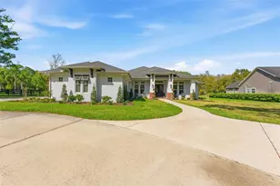 17506 Brown Rd, Odessa, FL 33556 - Photo 1