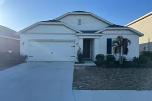 16443 Little Garden Dr, Wimauma, FL 33598 - Photo 1