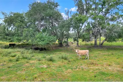 0 S Cr 39, Lithia, FL 33547 - Photo 1