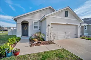 32705 Brooks Hawk Ln, Wesley Chapel, FL 33543 - Photo 1