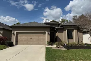 131 Elina Sky Dr, Seffner, FL 33584 - Photo 1
