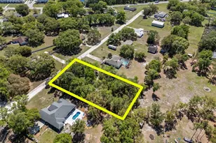 Bonnie Blue Dr, Zephyrhills, FL 33544 - Photo 1