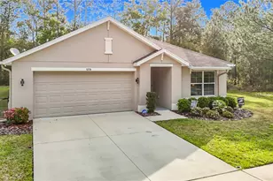 5274 Diantha Way, Brooksville, FL 34604 - Photo 1