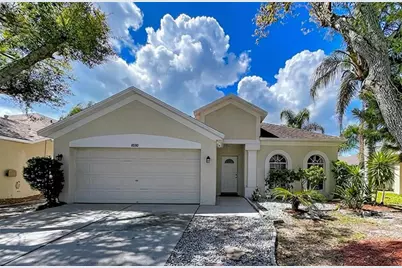 10310 Birdwatch Drive, Tampa, FL 33647 - Photo 1