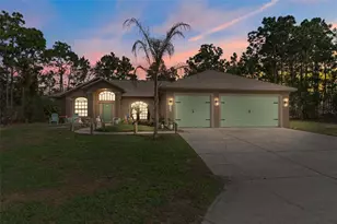 46 Fringetree St, Homosassa, FL 34446 - Photo 1