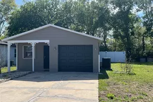 4859 Billy Direct Ln, Lutz, FL 33559 - Photo 1