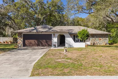 1101 Dagmar Avenue, Spring Hill, FL 34606 - Photo 1