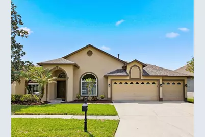 10017 Oxford Chapel Drive, Tampa, FL 33647 - Photo 1