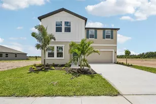 5919 Fresh Flora Dr, Wimauma, FL 33598 - Photo 1