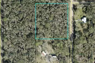 10155 Stycket Ave, Hastings, FL 32145 - Photo 1