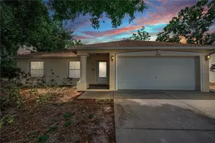 6906 297th Ave N, Clearwater, FL 33761 - Photo 1