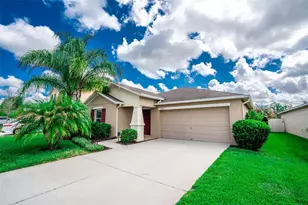 17132 White Mangrove Dr, Wimauma, FL 33598 - Photo 1