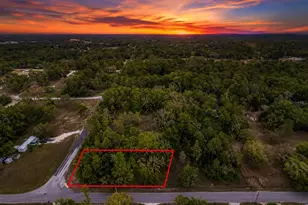 16021 Forzando Ave, Brooksville, FL 34604 - Photo 1