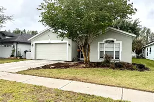 30630 Nickerson Loop, Wesley Chapel, FL 33543 - Photo 1