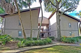 4207 Winding Moss Trail, Tampa, FL 33613 - Photo 1