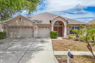 23113 Emerson Way, Land O Lakes, FL 34639 - Photo 1